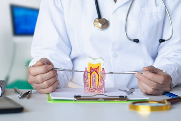 Best Emergency Tooth Extraction in Felton, DE